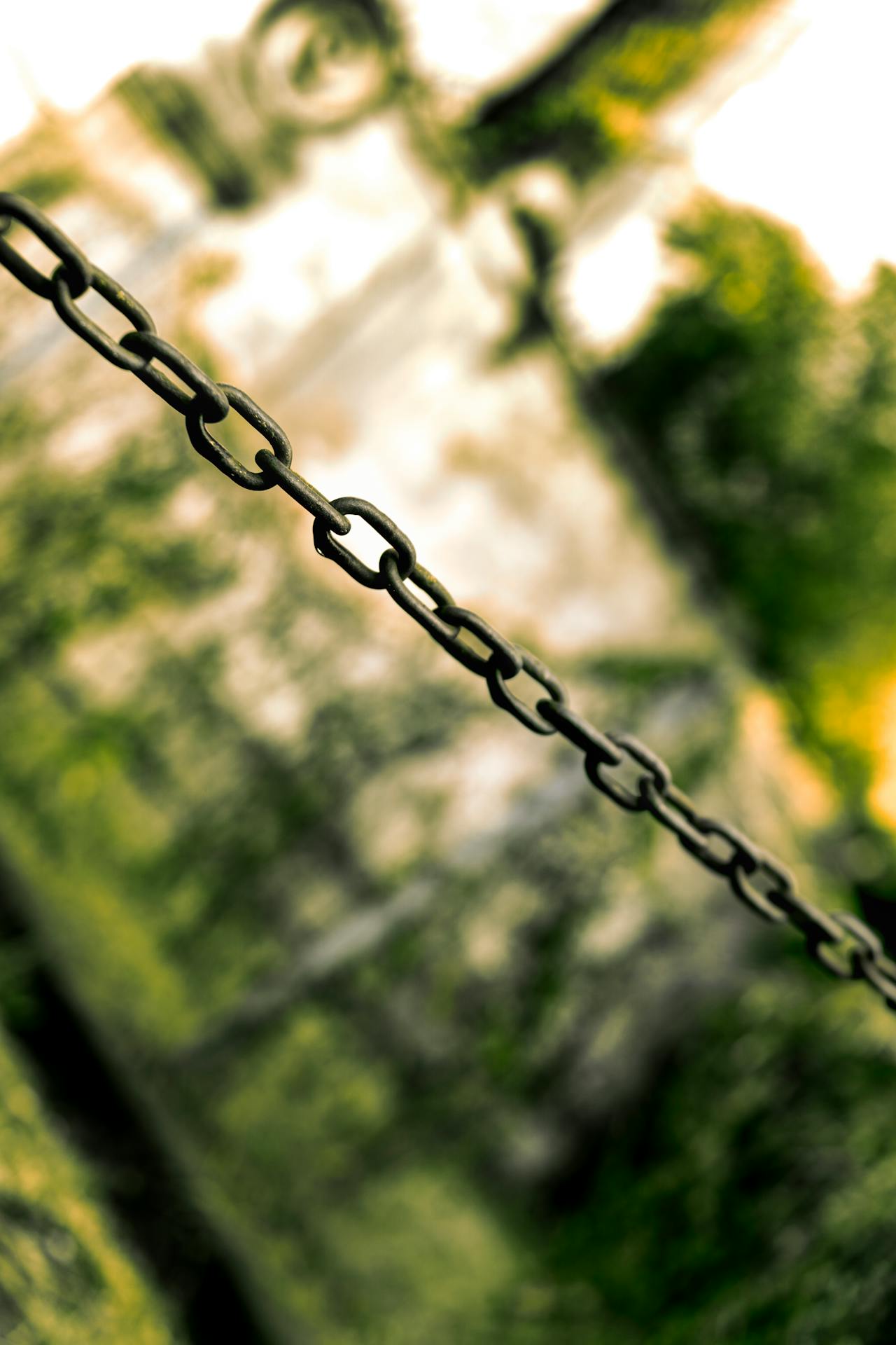 Backlink az mi Backlink az mi